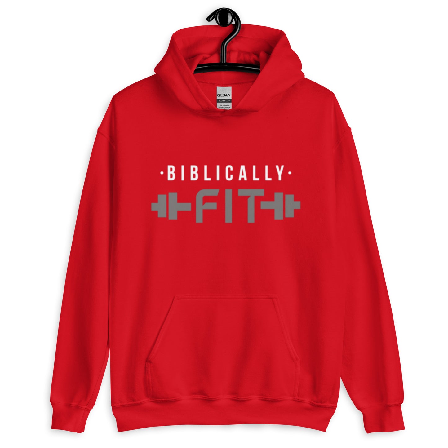 All In Biblically Fit Hoodie